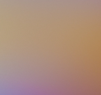 grid image