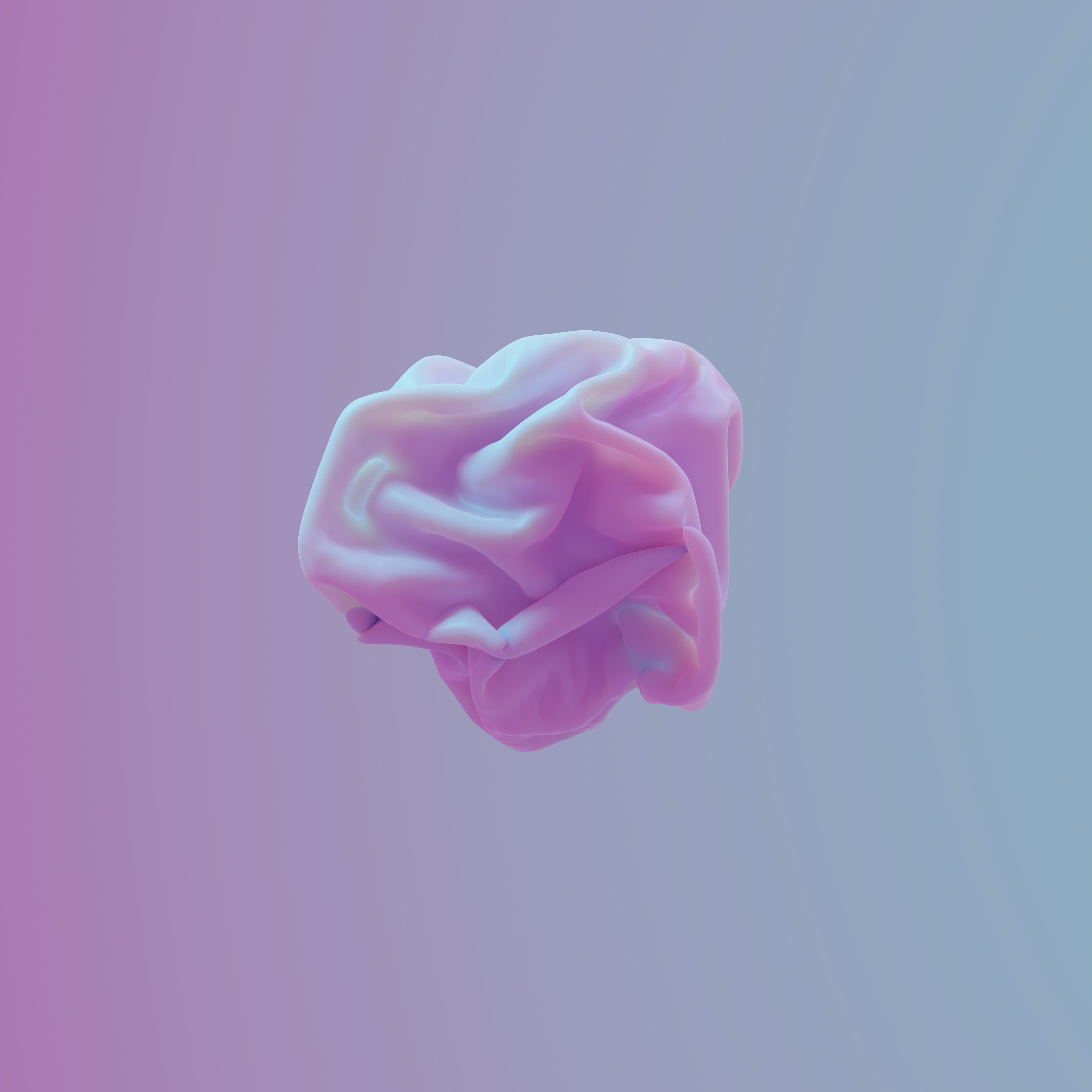 banner image